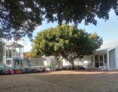 The School 2